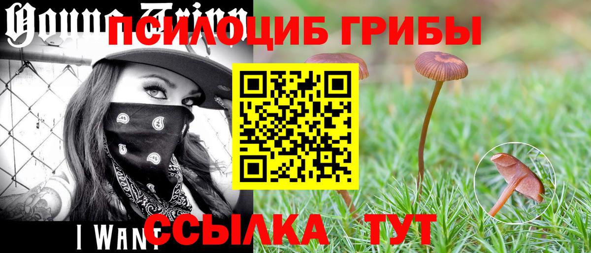 как найти закладки  Вход с VPN  Еманжелинск  Галлюциногенные грибы мицелий 